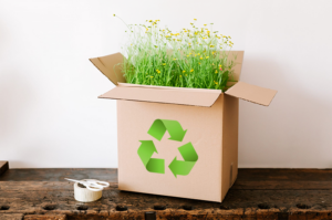 Duurzaam pakketten verzenden groen 